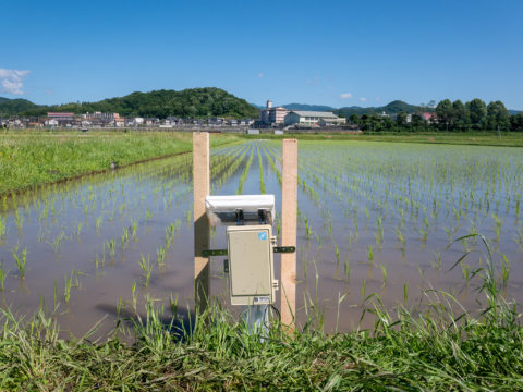 田んぼのIoT